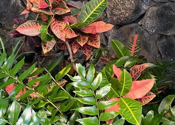 度假居 Casa Con Encanto En 圣乌尔苏拉